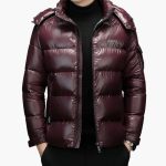 Men's Down Jacket with Long Sleeves - Image 4