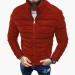 Men's Jacket with Quilting and Zipper - Image 4